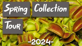 Springtime Carnivorous Plant Tour - 2024