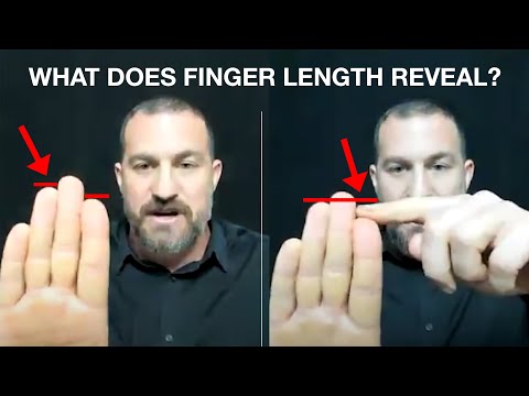 Neuroscientist: "If your Ring Finger is LONGER than your Index Finger, then..." w/ Andrew Huberman