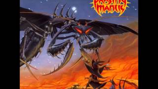 Praying Mantis - Eyes of a Child