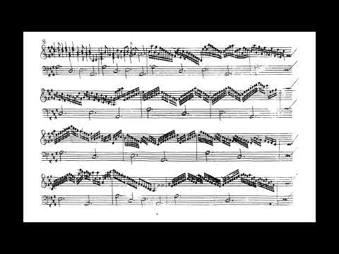 Heinrich Ignaz Franz Biber: Sonata for Violin and Basso continuo, C 138 - C 145