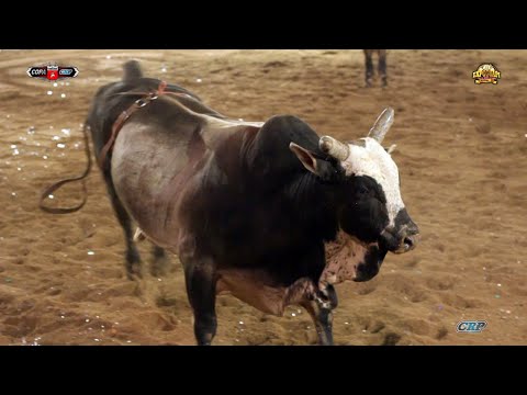 FINAL EM TOUROS - Expo Guapi 2020 / Guapirama - PR