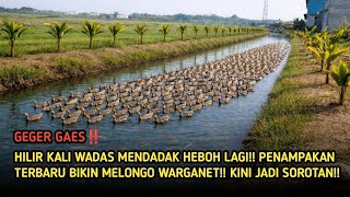 Download lagu Geger‼️Hilir Kali Wadas Mendadak Heboh Lagi❗Penampakan Terbaru Bikin Melongo Warganet & Jadi Sorotan mp3