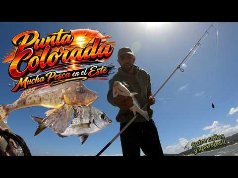 PUNTA COLORADA‼️Una pesca tras otra en el Este🔥🎣//Maldonado,UY// @entrecanasyaparejos2396