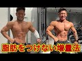 脂肪をのせずに増量する方法！