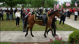Meet Lighthouse Funeral and Cremation Service