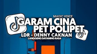 Download lagu DJ PET POLIPET X GARAM CINA X MAGIC VOICE X LDR | LANGGENG DAYANING RASA FULL SONG Vel Remixer 2025 mp3