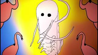 The Shrimps (Креветки)