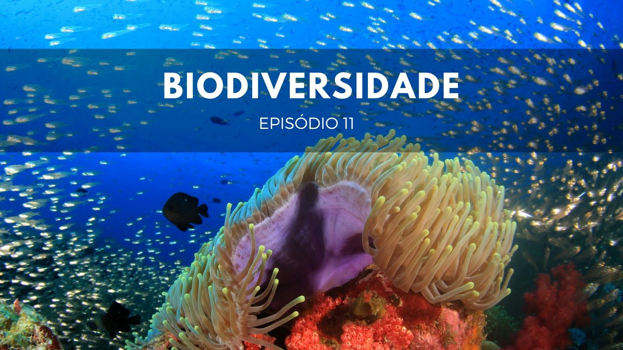 Biodiversidade | Origens #11