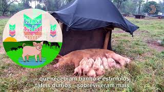 Miniatura do vídeo