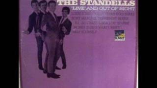 The Standells - Shake