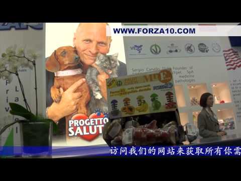 FORZA 10 - INTERZOO - 2014