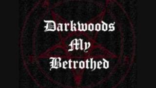Darkwoods My Betrothed - Witch Hunters