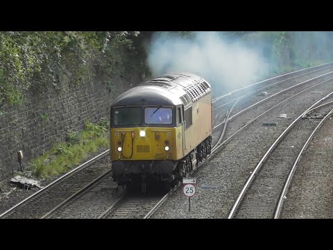 Smokey 56051 @ Dr Days Jct , 06-10-23