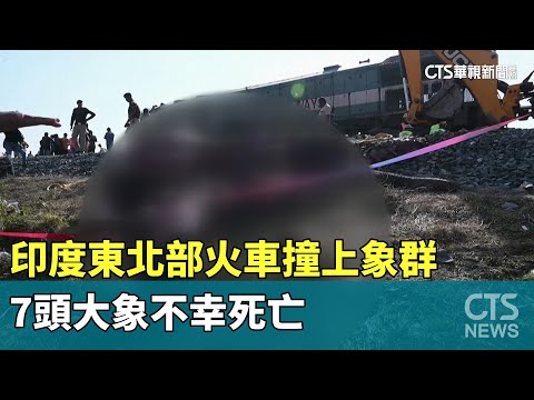 印度東北部火車撞上象群　7頭大象不幸死亡