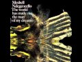 Meshell Ndegeocello - I'm digging you (like an old school record)