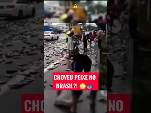 CHOVEU PEIXE NO BRASIL?! 😳🐟