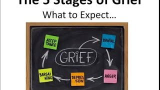 How Do We Get Through The Stages Of Post-Election Grief??