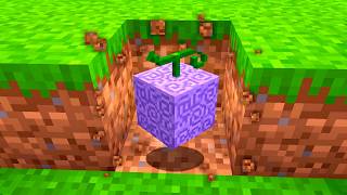 ドロップがすべて"ワンピース"になった世界【マイクラ】