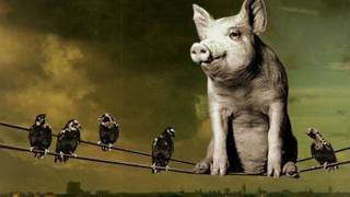 Pigs on the Wing Pt 1