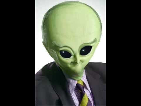 Terrorbunny - Metalshit