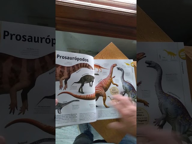 Vídeo relacionado con El Gran Libro de los Dinosaurios 196 paginas 20 x 27 cm