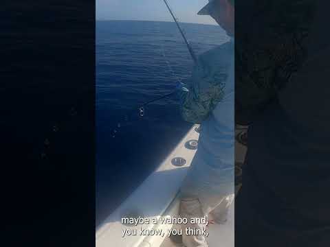 Ich bereue, dass ich mich in 120 Metern Wassertiefe an diesen RIESEN herangehangen habe!!