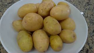 Descascador de Tubérculos – Batata