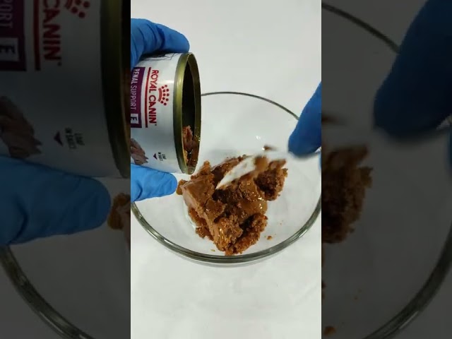 Vídeo relacionado con P renales alimentos complementarios para perros y gatos Alimentos Suplemento 240g Uso Veterinario