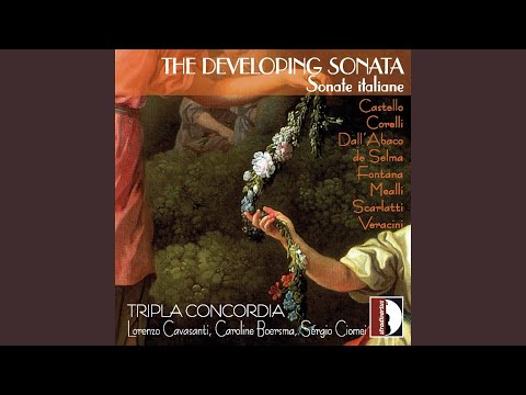 Keyboard Sonata in C Minor, Kk. 56