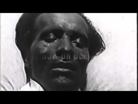 Sosak - Thunderbird - BEK049