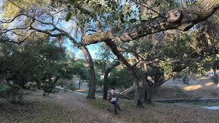 Episode 32: The One Thing Necessary