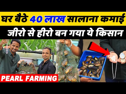 मोती की खेती A to Z सर्जरी, ट्रेनिंग तक की जानकारी💰👌Pearl Farming Business | Indian Farmer