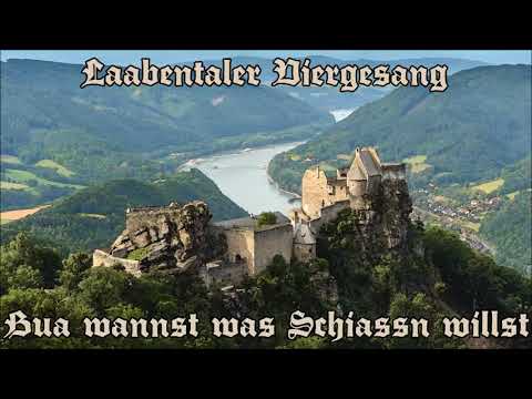 Laabentaler Viergesang - Bua wannst was Schiassn willst