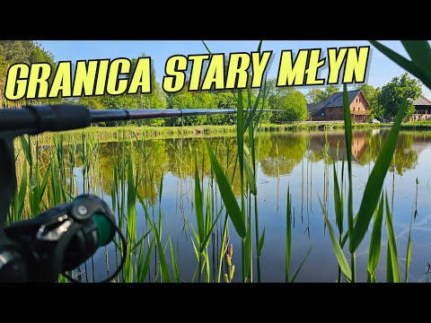 582 WĘDKOWANIE W TRZCINACH - GRANICA STARY MŁYN