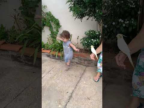 #anapolisgoias #skateboarding #skateboarding #caminhoparaumavidamelhor #skate