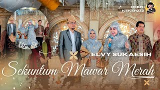 Download lagu ELVY SUKAESIH / SEKUNTUM MAWAR MERAH / RAJAWALI MUSIK PALEMBANG / DESA PALDAS #orkes #dangdutviral mp3