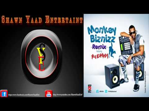 Leftside Ft Redman - Monkey Biznizz - Remix - December 2013 || @ShawnYaadEnt
