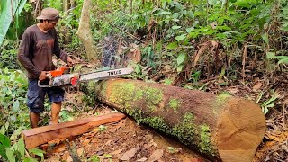 Download lagu Sensasi mantap ‼️ kayu ulin berkualitas tinggi kami buat jadi papan membuat pilar. mp3 Download lagu Sensasi mantap ‼️ kayu ulin berkualitas tinggi kami buat jadi papan membuat pilar. mp3