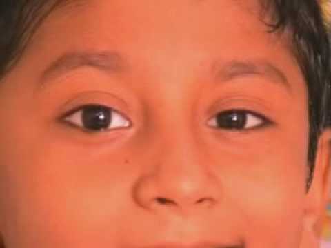 Sivaji song Athiradikaaran remix