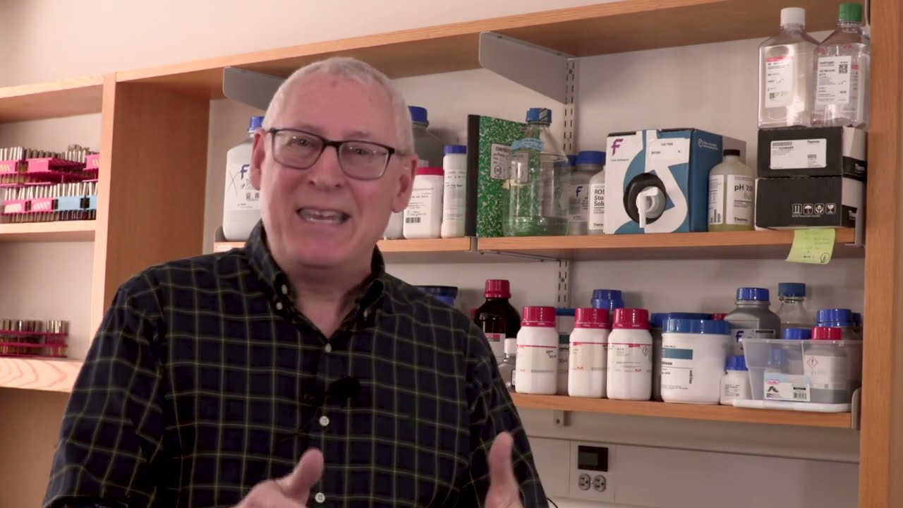 Science Funding Pays Off: How Basic Research leads to Billion Dollar Breakthroughs