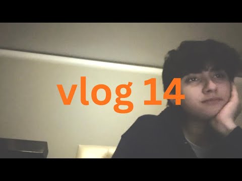 vlog 14