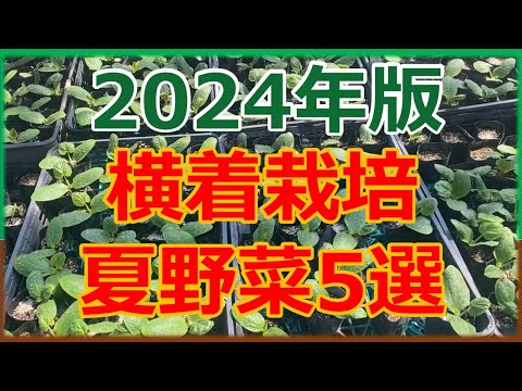 温室で育てるのに最適な野菜5選 トピックス