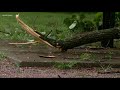Storms drop heavy rain and blow over trees