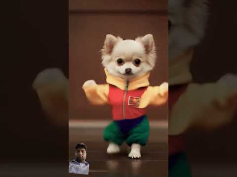 #funny #dog #cute #doglover #animals #pet #petdance #motorcycle #dance #dogdance