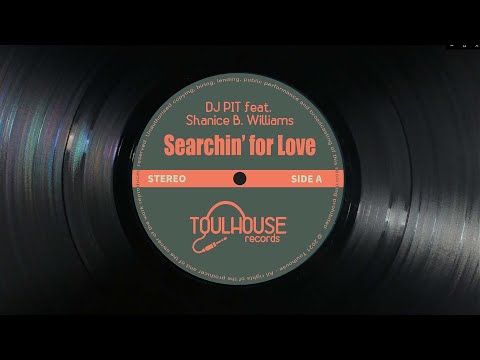 DJ PIT feat. Shanice B. Williams - Searchin' for Love (Radio Edit)