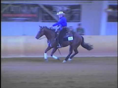 HICKORYS BAYLIGHT AND KAREN SHEDLAUSKAS AT THE 2013 REINING THUNDER FUTURITY