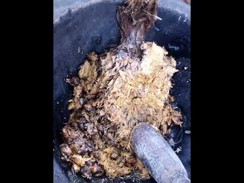 PREPARATION OF ATIKPA OKE OGWU NDALU AJA BY OKAKA NWADIBIA UKO 1 OF AWKA FATHER OF EGBENAMMA NDILO.