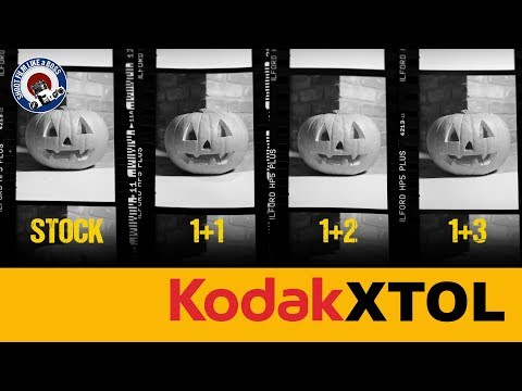 FILM DEVELOPING - KODAK XTOL DILUTIONS