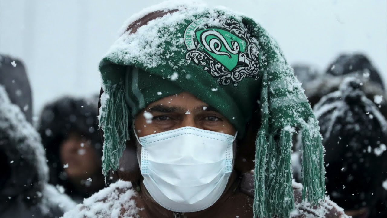 Photos of the month: November