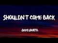 Shouldn't Come Back - Demi Lovato (Lyrics)